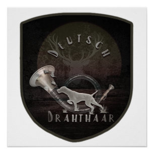 Poster À poils durs allemand