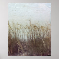 A travers les Dunes II