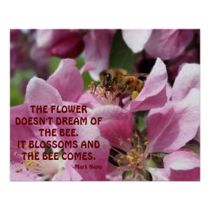 Poster Abeille de miel sur la fleur avec la citation