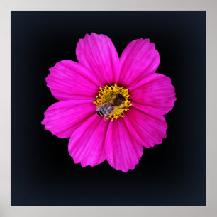 Poster abeille qui travaille dur