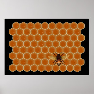 Poster Abeilles de miel
