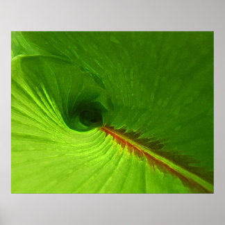Poster Abstrait de la feuille de gingembre