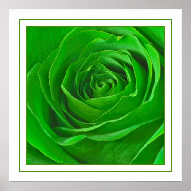 Poster Abstrait Emerald Green Rose Center Photographie (Devant)