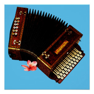 Poster Accordion et Plumeria - Instrument de musique