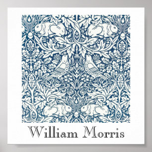 Poster - Acorns à la recherche Design 2