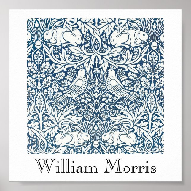 Poster - Acorns à la recherche Design 2 (Devant)