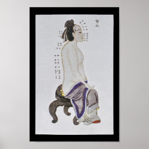 Poster Acupuncture Du Mai Meridian Channel