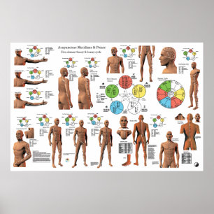 Poster Acupuncture Meridian Points and Pathways