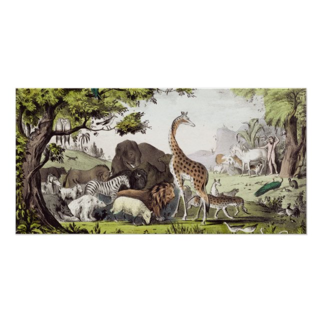 Poster Adam nomme les créatures (Devant)