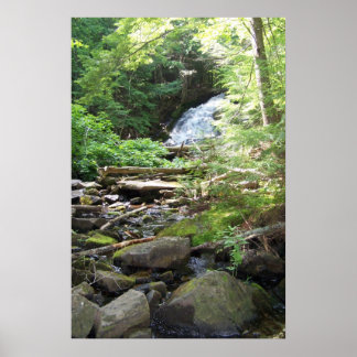 Poster Adler Falls