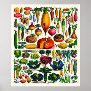 Poster Adolphe Millot ~ Légumes