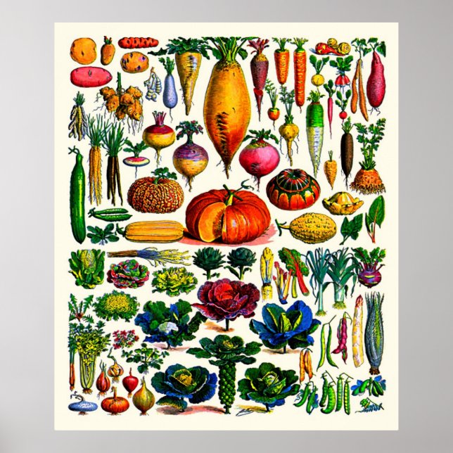 Poster Adolphe Millot ~ Légumes (Devant)