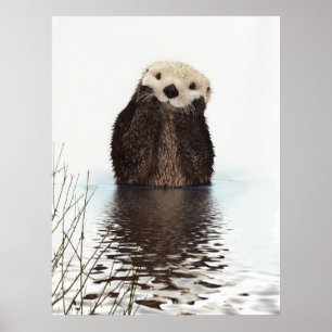 Poster adorable animal de loutre moelleuse mignonne