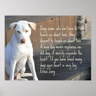 Cadeaux Perte D Une Citation Animal Familier Zazzle Fr