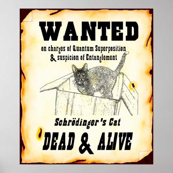 Chat De Schrodinger Pour Les Nuls Poster Affiche "Recherchée" du chat de Schrodinger | Zazzle.fr