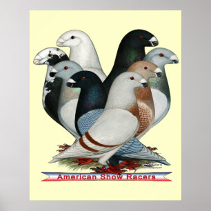 Poster Afficher huit pilotes