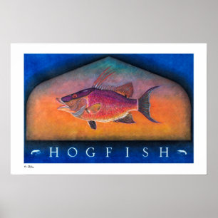 Poster Affiches, copies et cadres de Hogfish