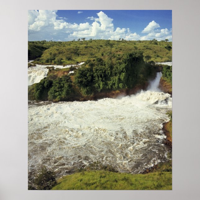 Poster Afrique, Ouganda, Murchison Falls NP. L'écumeux (Devant)
