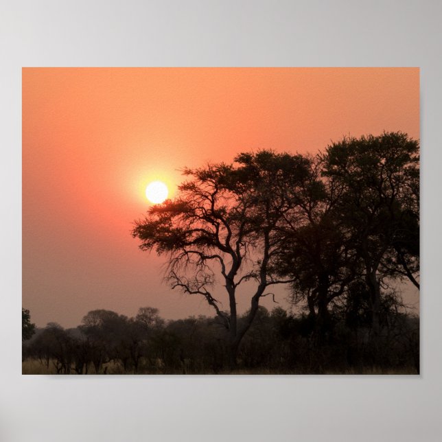 Poster Afrique Sunset Trees Nature Paysages Ciels (Devant)
