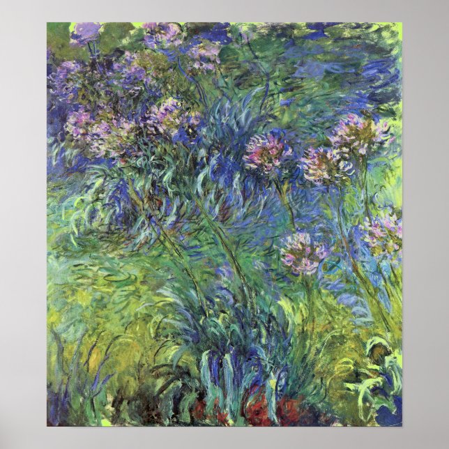 Poster Agapanthus Flowers by Claude Monet (Devant)