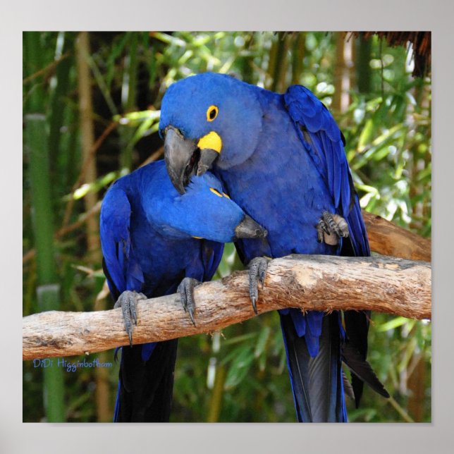 Poster Ahh Right There (Devant)