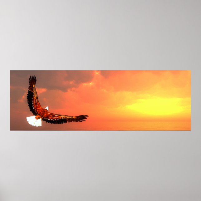 Poster Aigle à tête blanche (Devant)