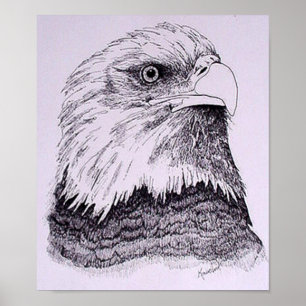 Poster Aigle américain