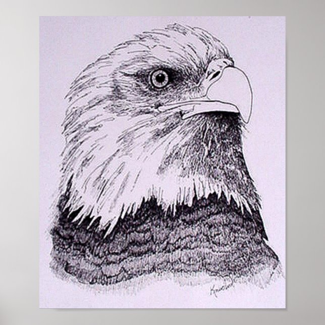 Poster Aigle américain (Devant)