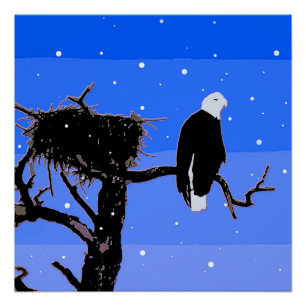 Poster Aigle chauve en hiver - Art animalier original
