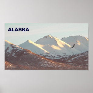 Poster Aigle d'hiver