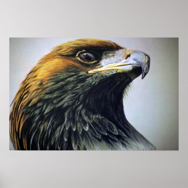 Poster Aigle d'or (Devant)