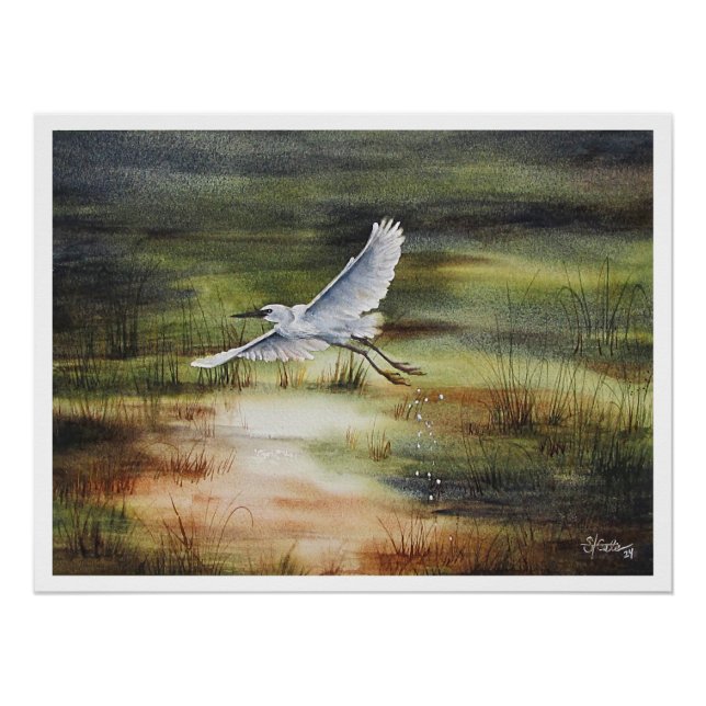 Poster Aigrette blanche aquarelle  (Devant)