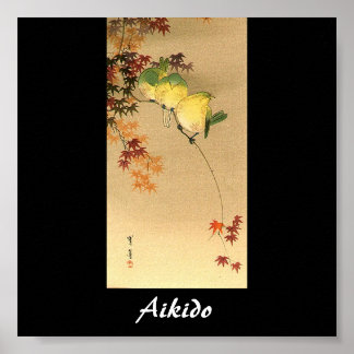 Poster Aikido Japonais Martial Art