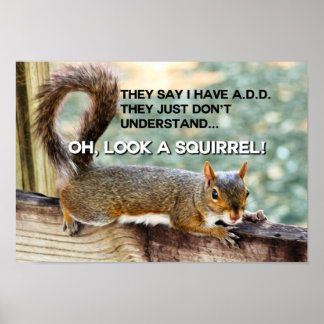 Poster AJOUTER photo d'écureuil