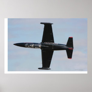 Poster Albatros L-39 aérien