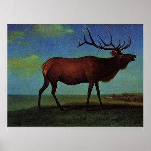 Poster Albert Bierstadt, Elk