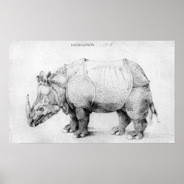 Poster Albrecht Durer Rhinoceros (Devant)