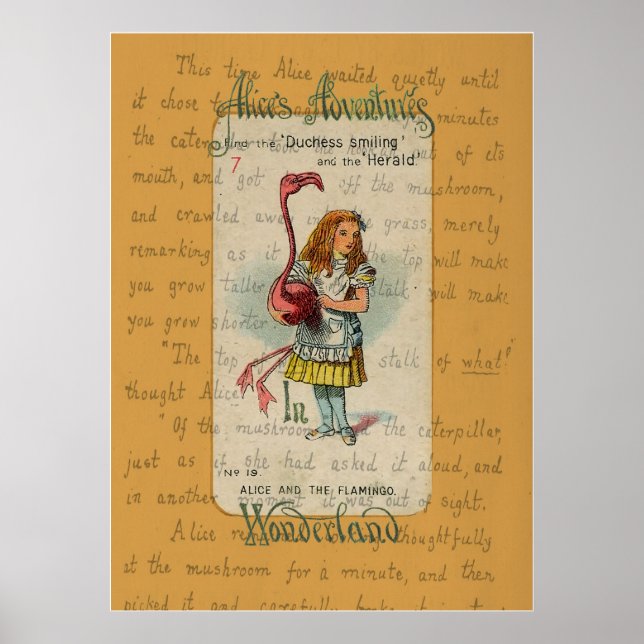 Poster Alice et le Flamant rose (Devant)