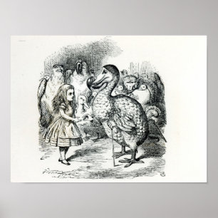Poster Alice rencontre la dronte