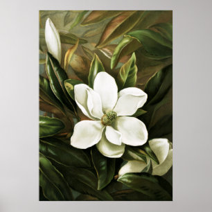 Poster Alicia H. Laird: Magnolia Grandflora