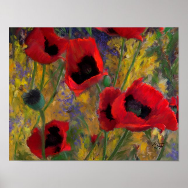 Poster Alicia's Poppies (Devant)