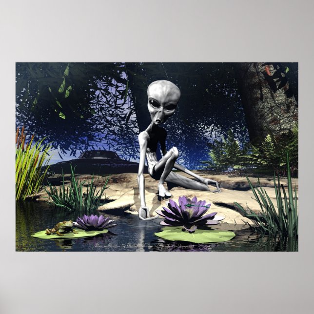Poster Alien en nature par Michelle Wilder (Devant)
