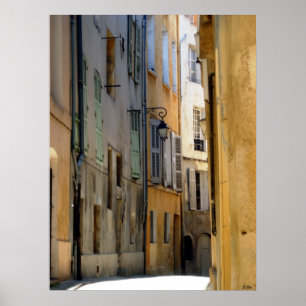Poster Allée d'Aix