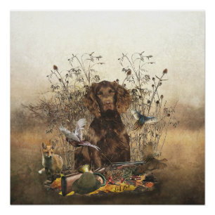 Poster Allemand Espagnol, Wachtelhund