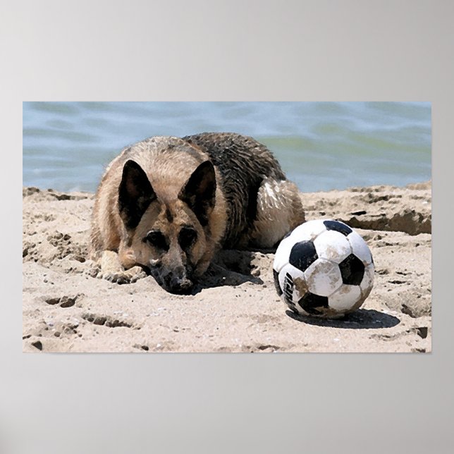 Poster allemand Shepherd Chien avec balle de footb (Devant)