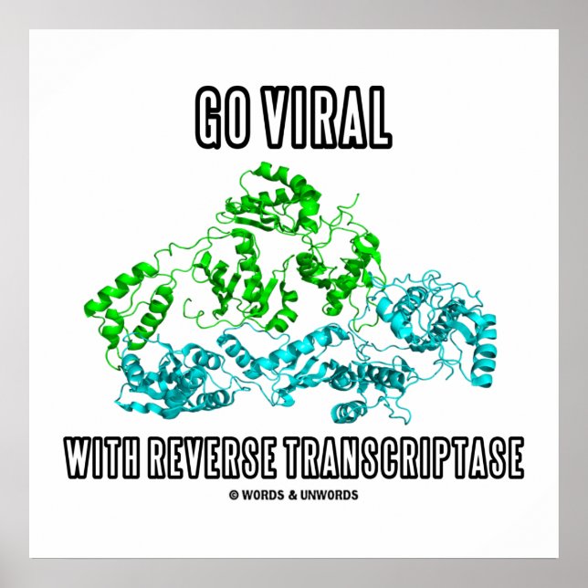 Poster Aller Virale Avec Transcriptase Inverse (Devant)