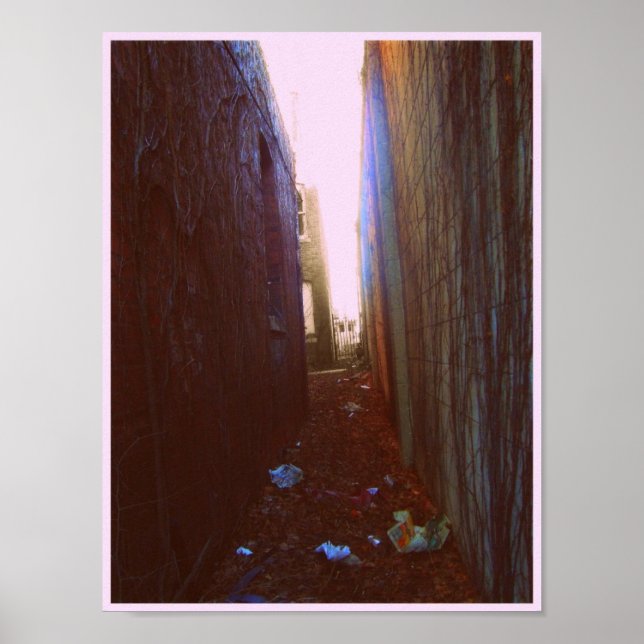 Poster Alley (Devant)