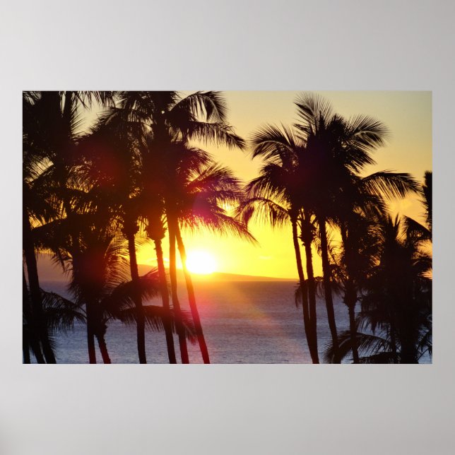 Poster Aloha Hawaii Palmiers Tropiques Coucher de soleil  (Devant)