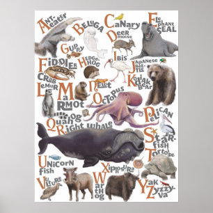 Poster Alphabet Animaux