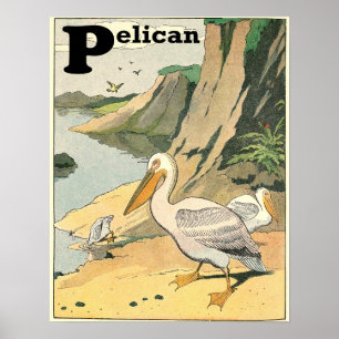 Poster Alphabet du livre de l'histoire de Pélican